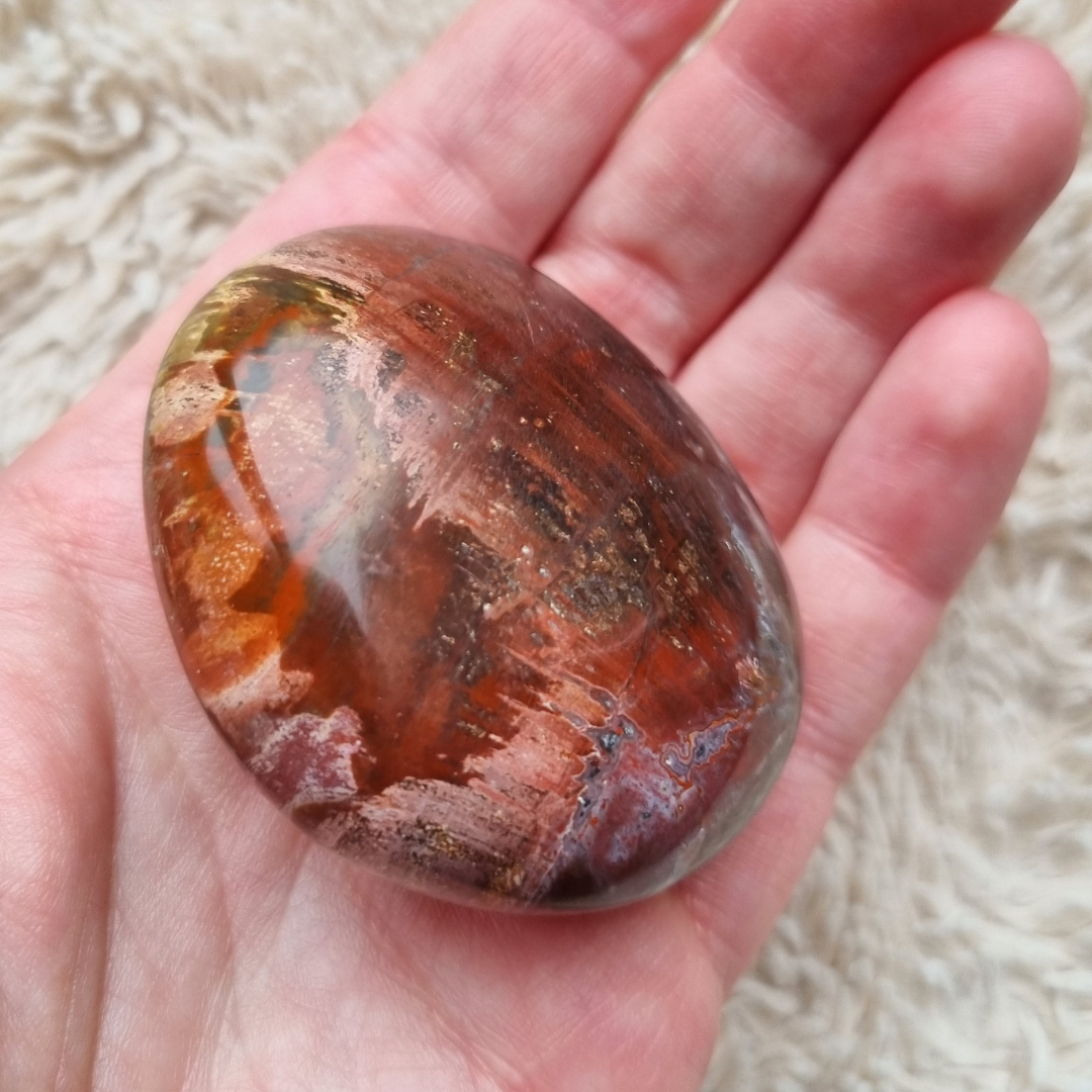 versteend hout handsteen