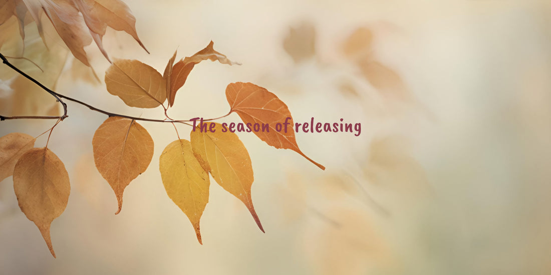 Herfst reflecties, kaartlegging en journal prompts