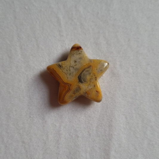 Crazy lace agaat koestersterretje