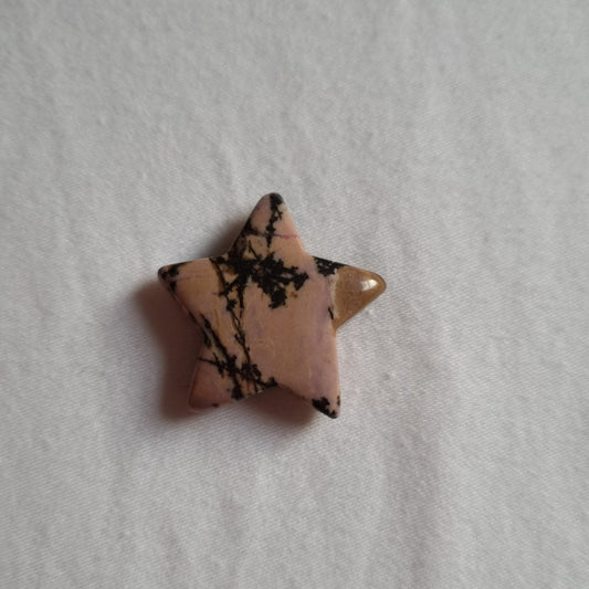 Rhodoniet koestersterretje