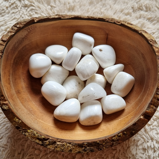 scoleciet trommelsteen te koop bij tourmaluna