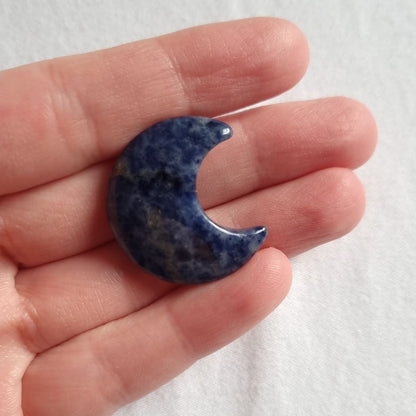 Sodaliet koestermaantje