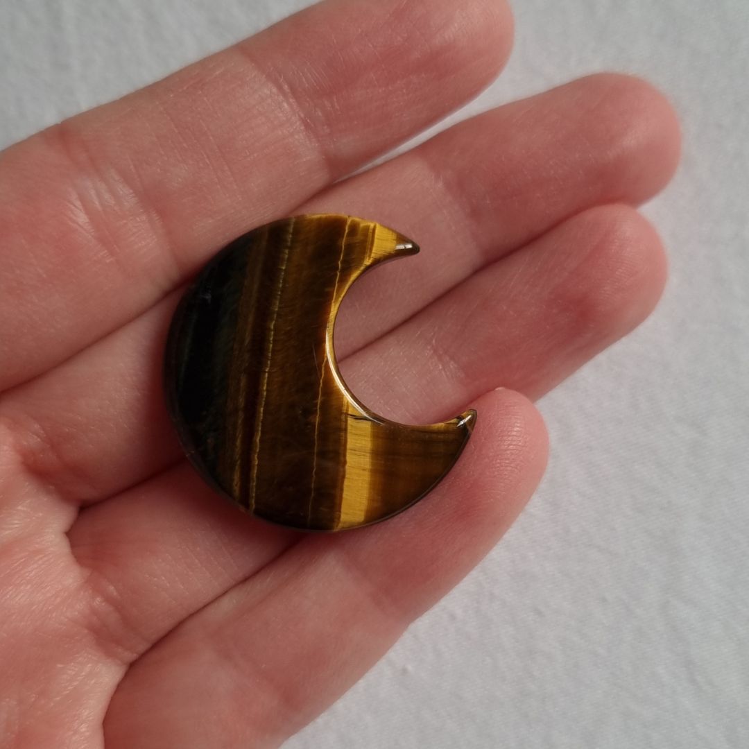 Tijgeroog koestermaantje