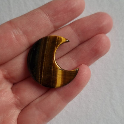 Tijgeroog koestermaantje