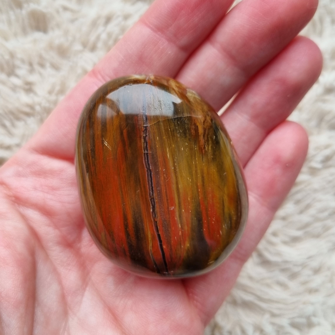 versteend hout handsteen
