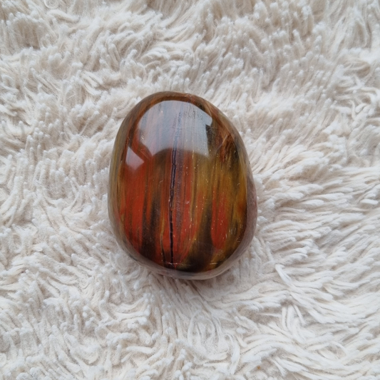 versteend hout handsteen