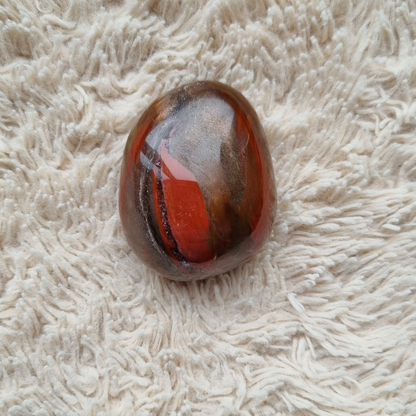 versteend hout handsteen