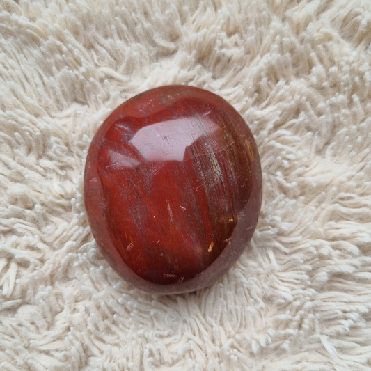 versteend hout handsteen