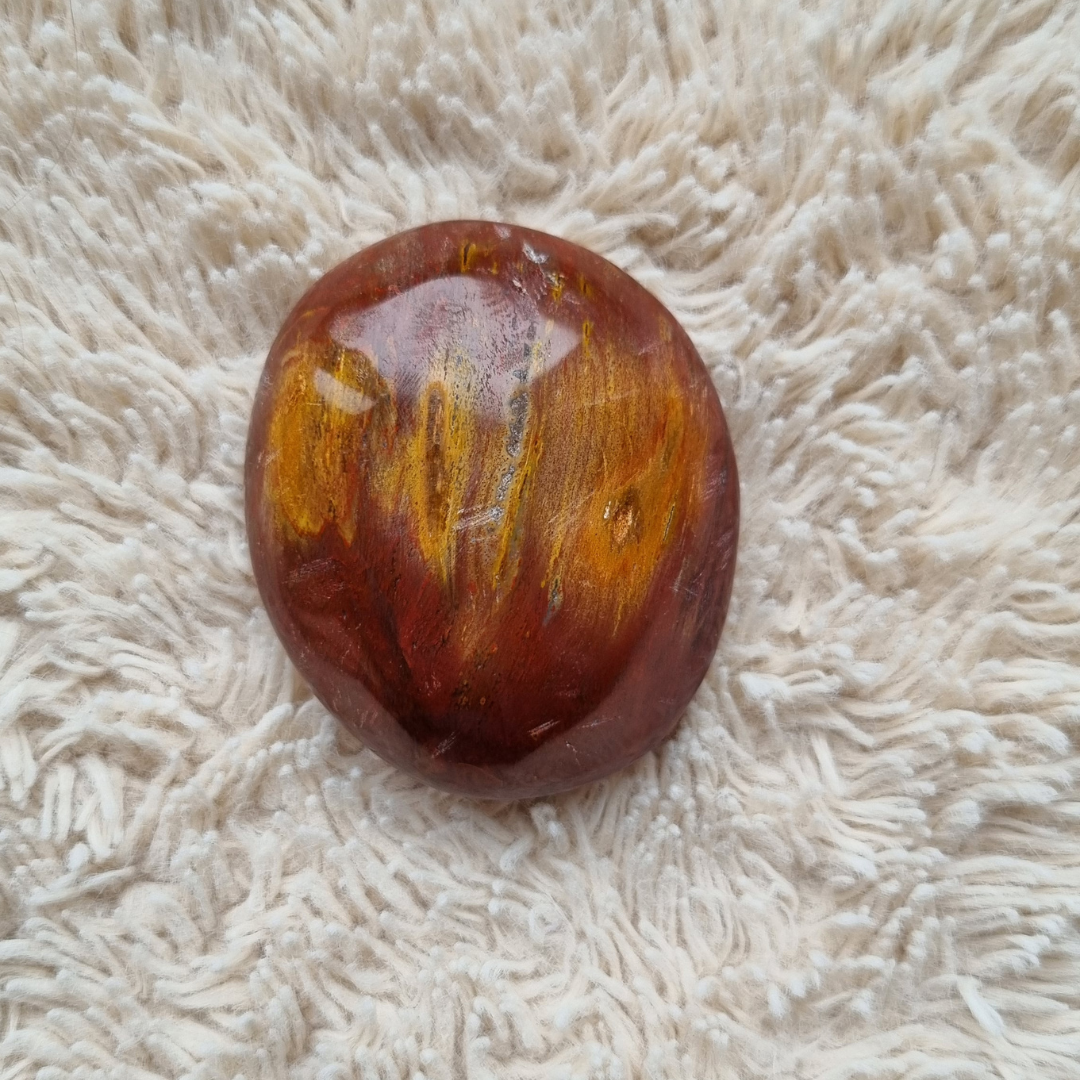 versteend hout handsteen