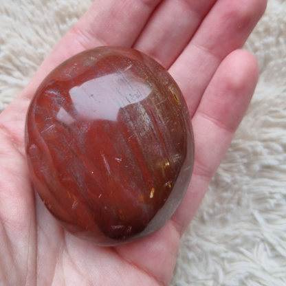 versteend hout handsteen