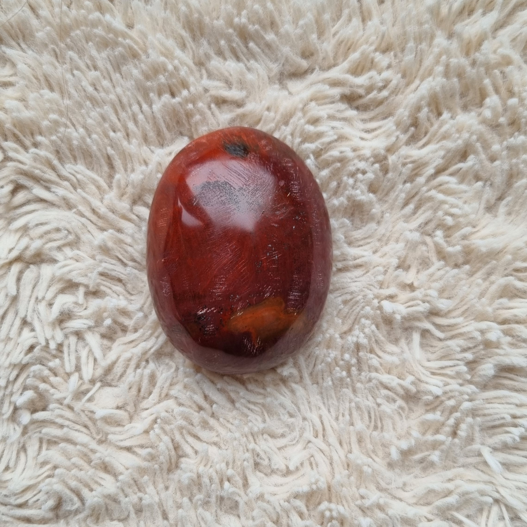 versteend hout handsteen