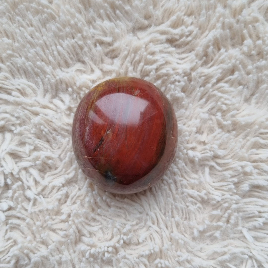versteend hout handsteen