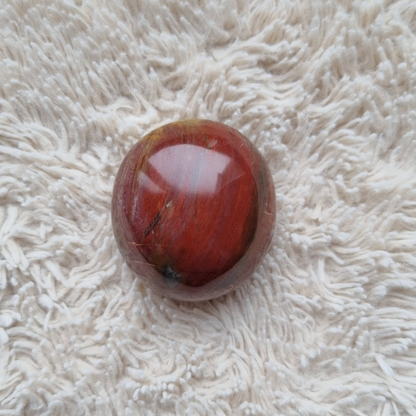 versteend hout handsteen
