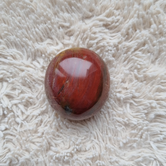 versteend hout handsteen