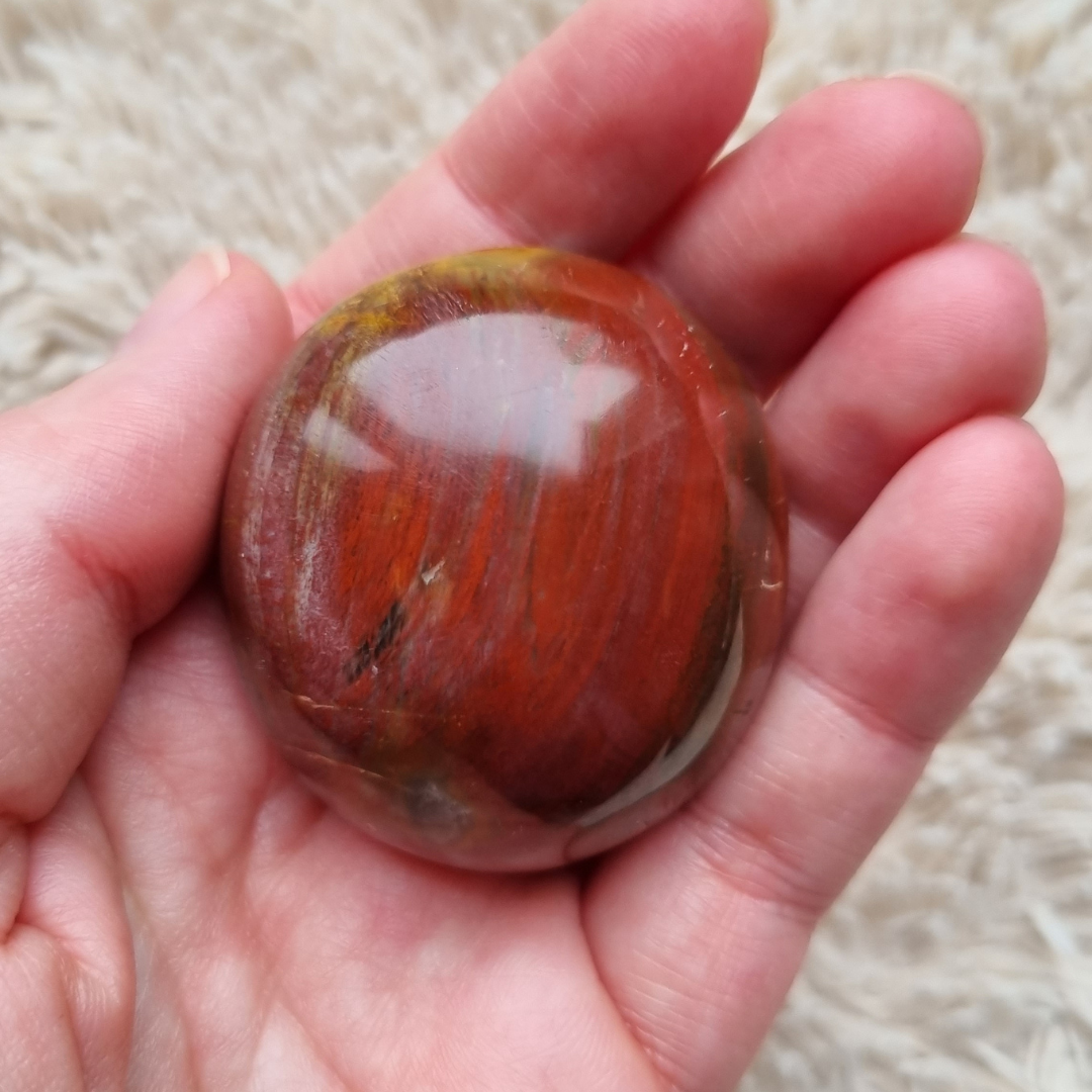 versteend hout handsteen