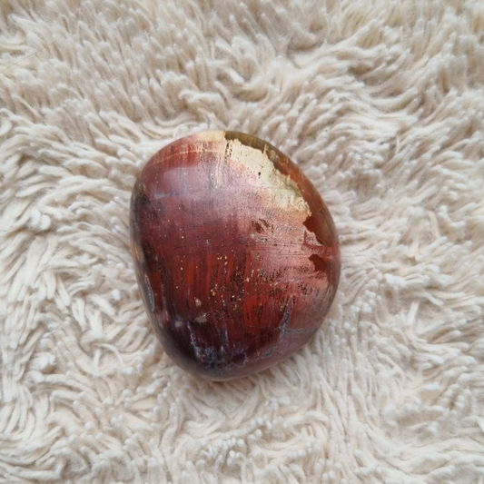 versteend hout handsteen