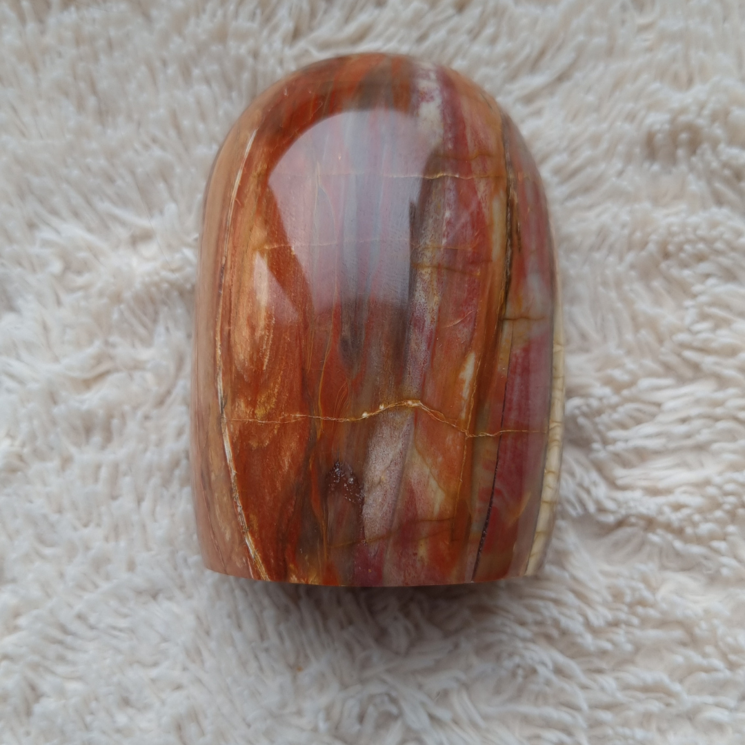 versteend hout sculptuur