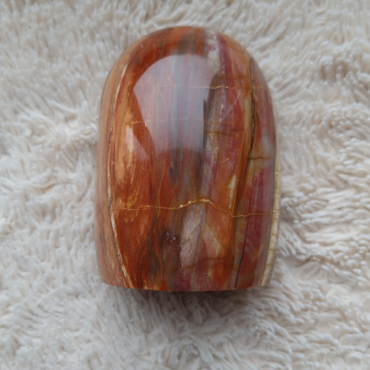 versteend hout sculptuur