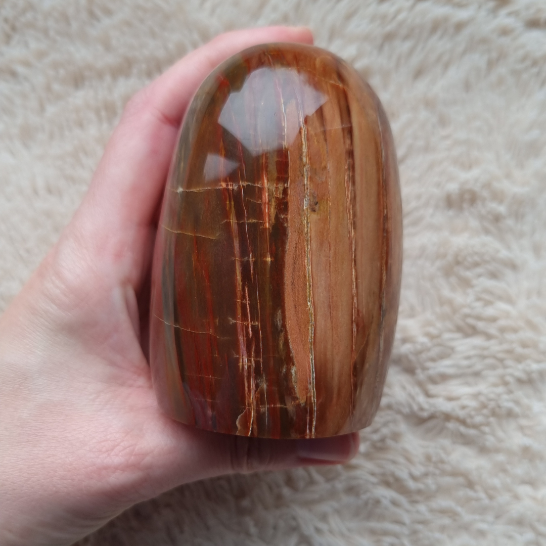 versteend hout sculptuur