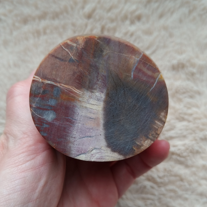 versteend hout sculptuur