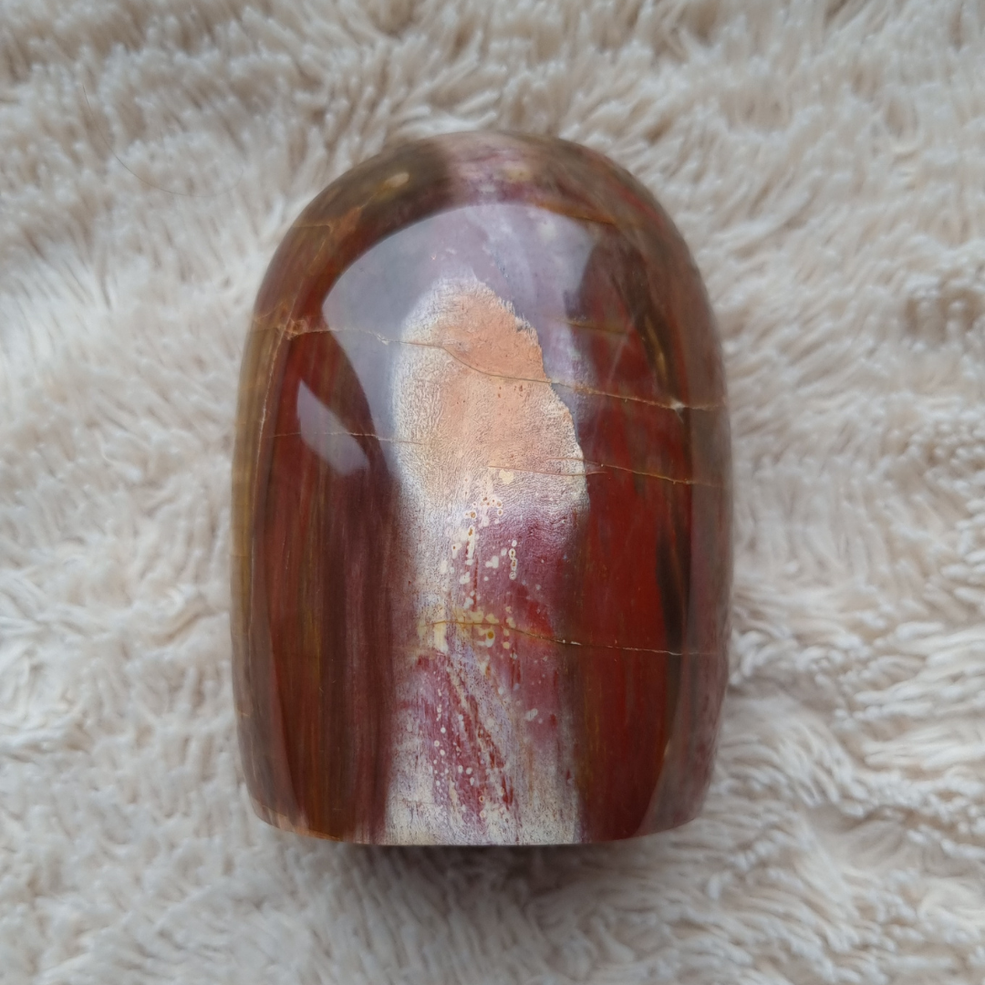 versteend hout sculptuur