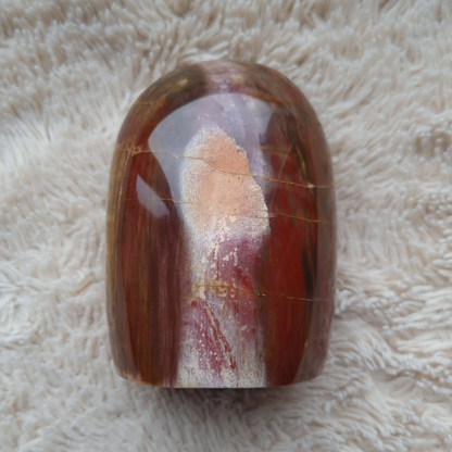 versteend hout sculptuur