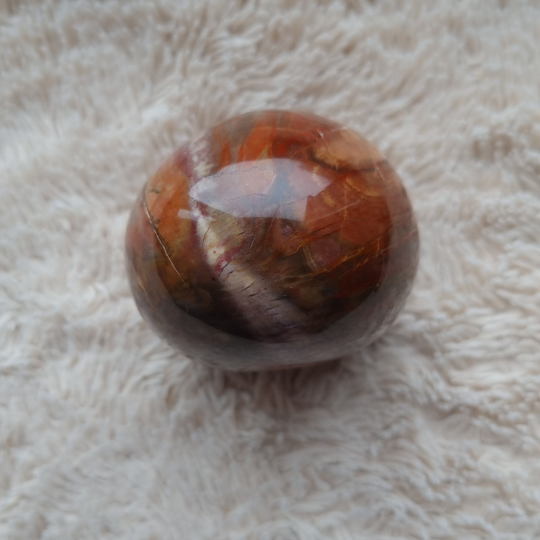 versteend hout sculptuur